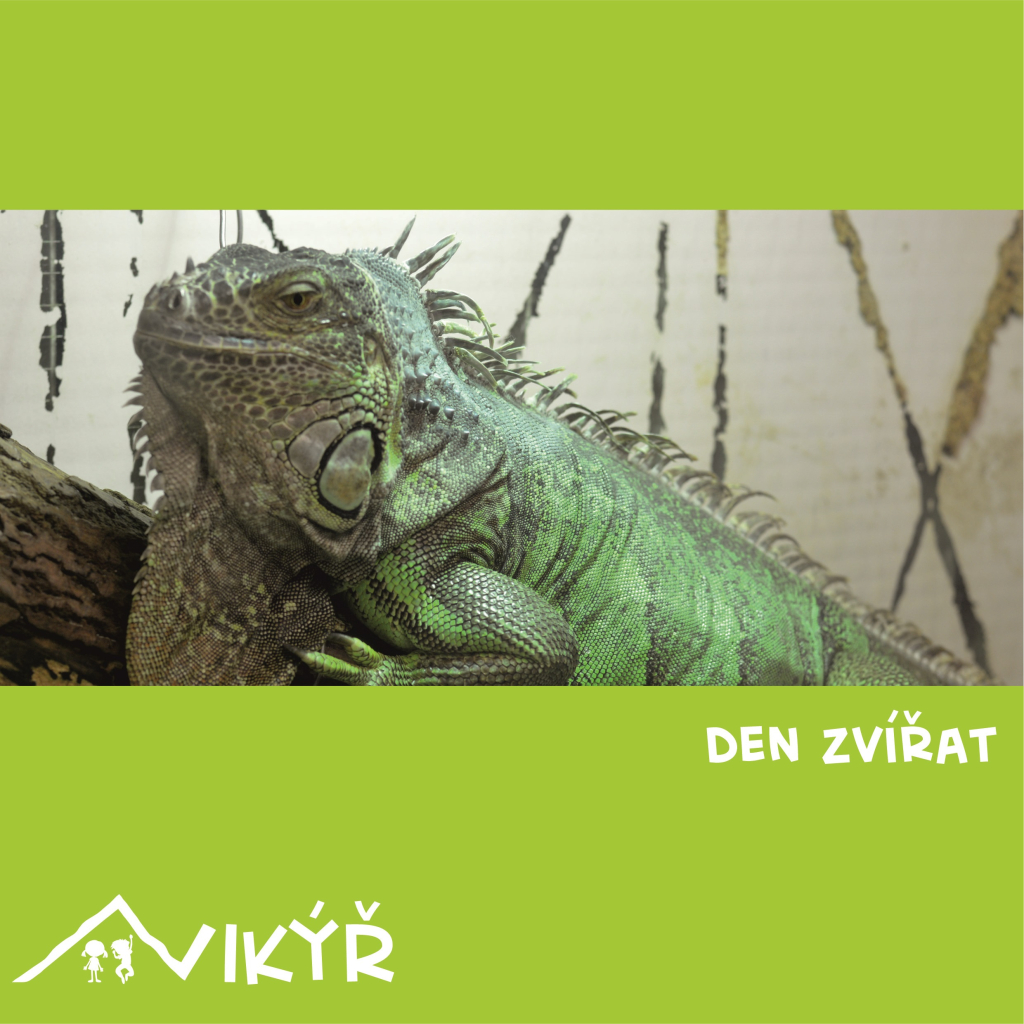 Den zvířat s Vikýřem