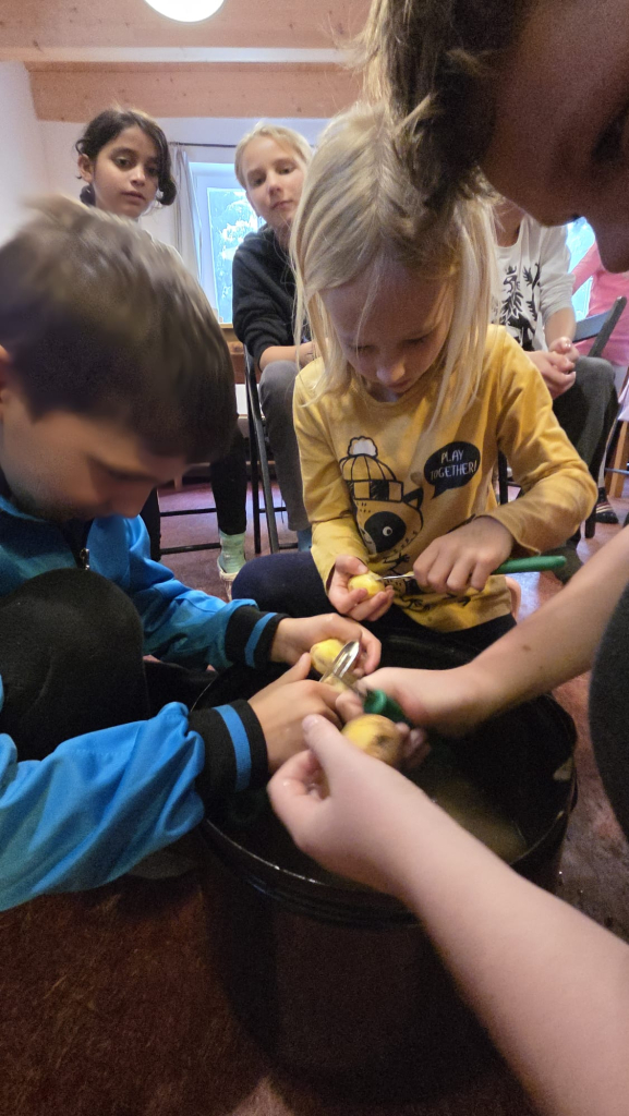 Obrázek WhatsApp, 2025-10-28 v 13.09.12_dfa2e858.jpg