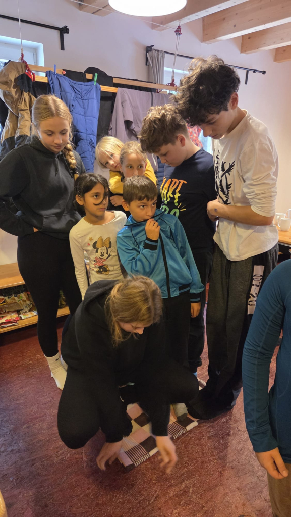 Obrázek WhatsApp, 2025-10-28 v 13.09.13_049e2387.jpg