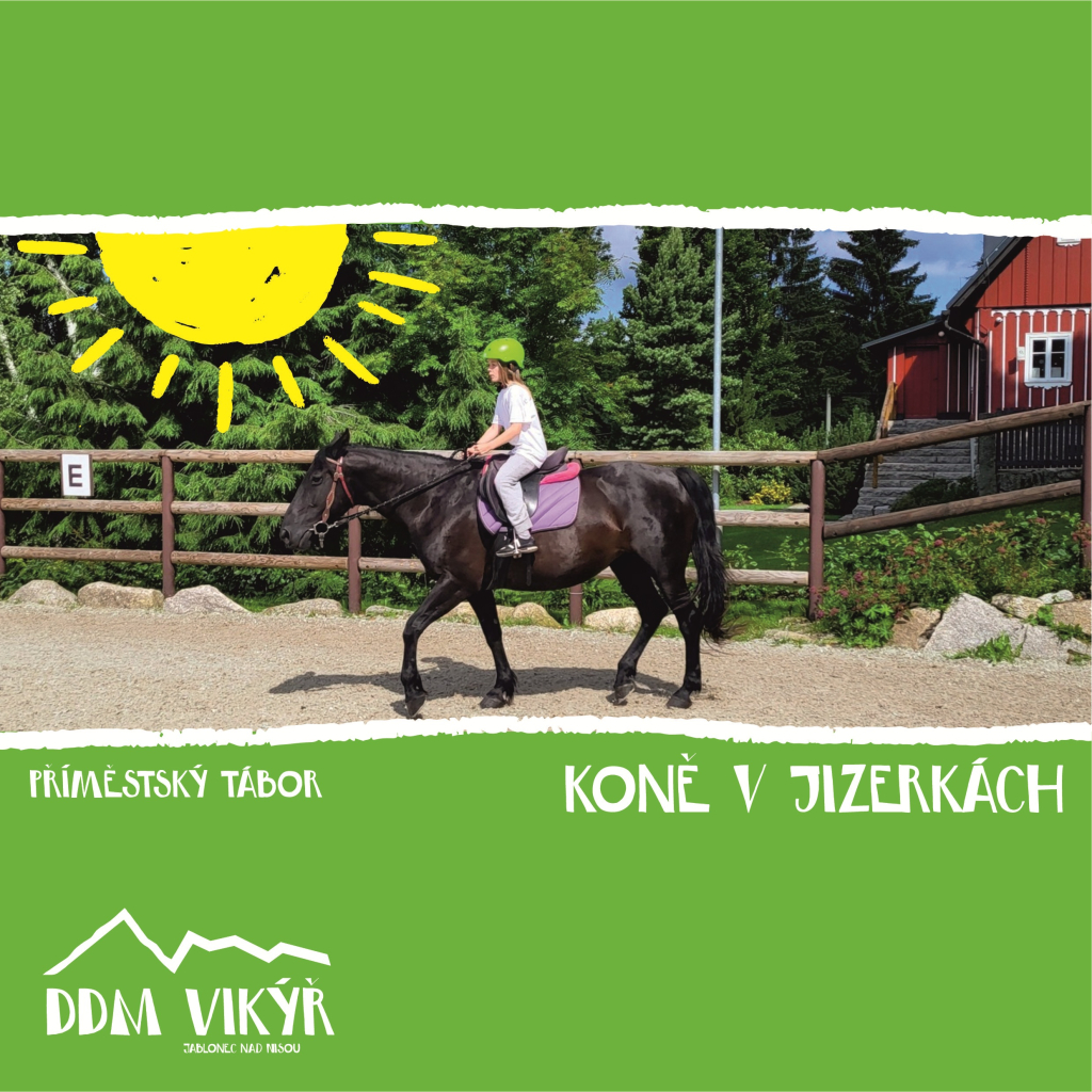 Koně v Jizerkách III.