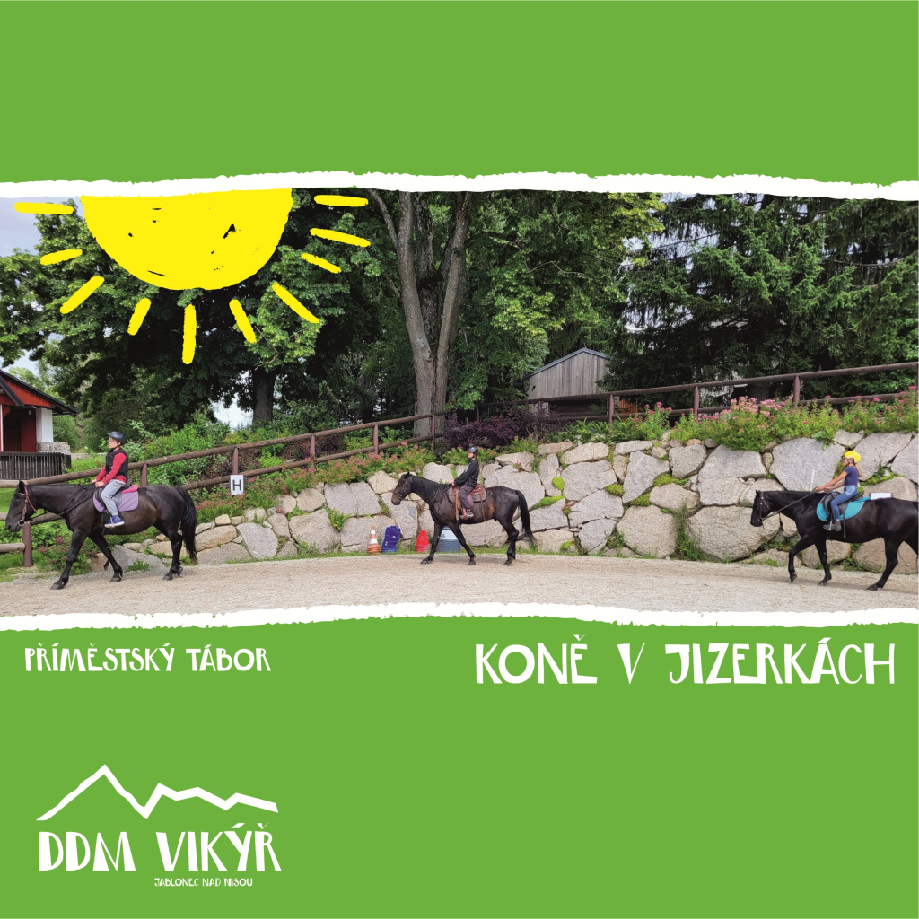 Koně v Jizerkách II.