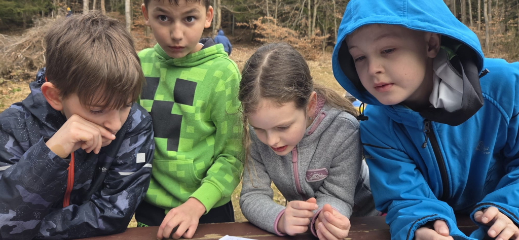 WhatsApp Image 2026-03-09 at 16.40.52 (2).jpeg