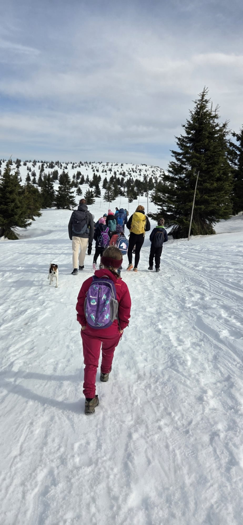 WhatsApp Image 2026-03-09 at 21.03.13.jpeg