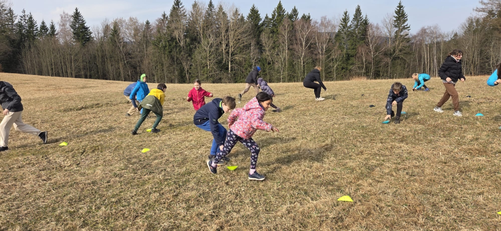 WhatsApp Image 2026-03-11 at 18.07.47.jpeg