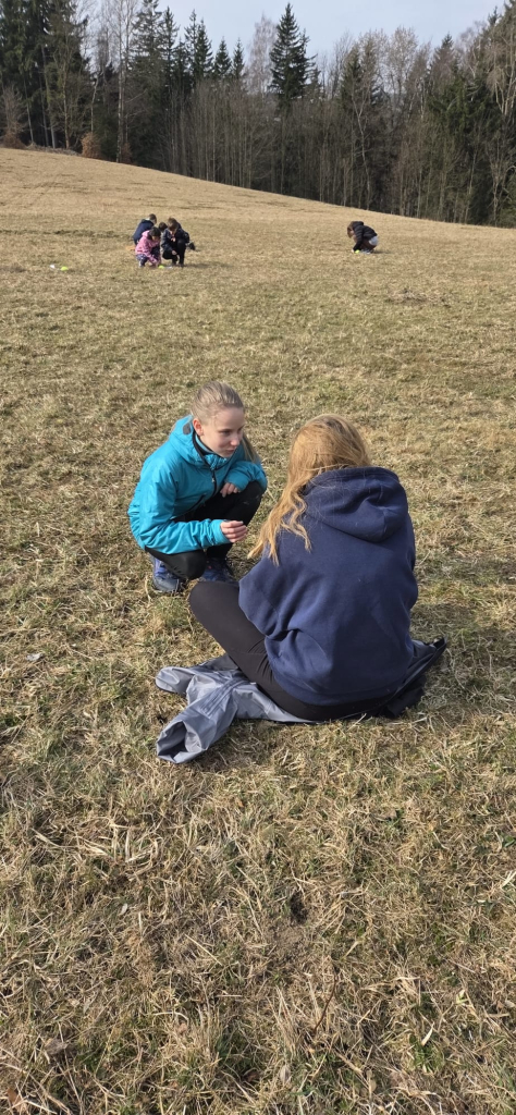 WhatsApp Image 2026-03-11 at 18.07.51.jpeg