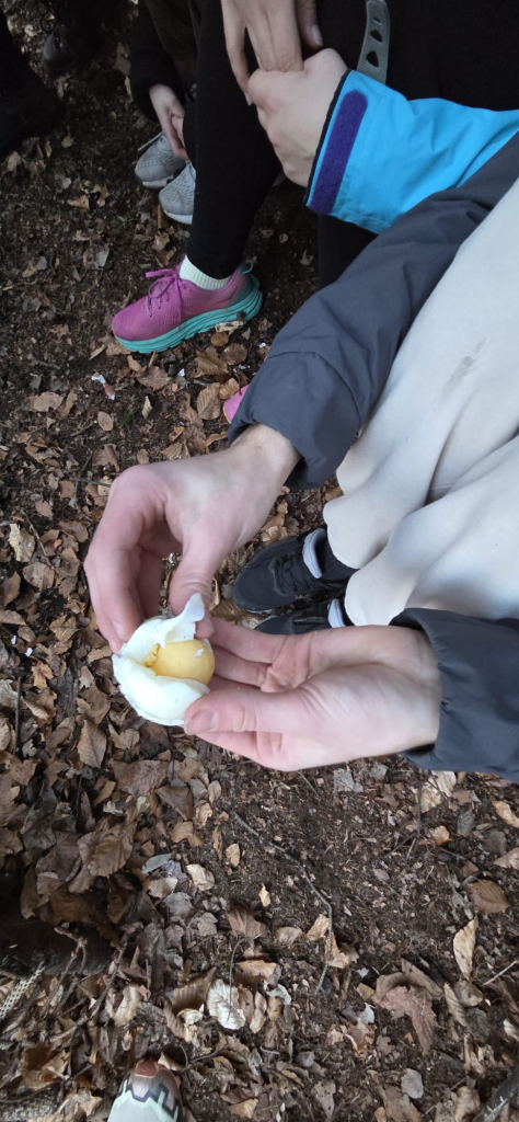 WhatsApp Image 2026-03-11 at 18.08.13 (1).jpeg