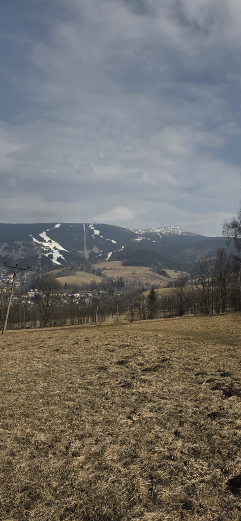 WhatsApp Image 2026-03-11 at 18.08.41.jpeg