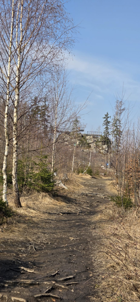 WhatsApp Image 2026-03-11 at 18.08.44.jpeg