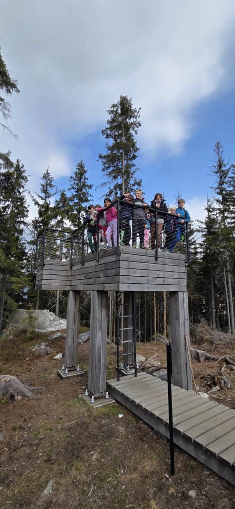 WhatsApp Image 2026-03-11 at 18.08.49 (1).jpeg