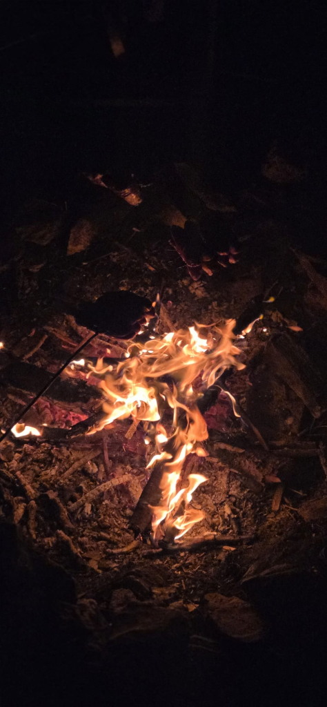 WhatsApp Image 2026-03-13 at 21.39.52 (4).jpeg