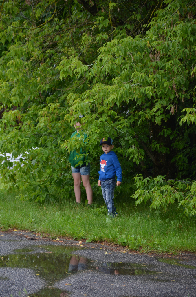 DSC_0273.JPG