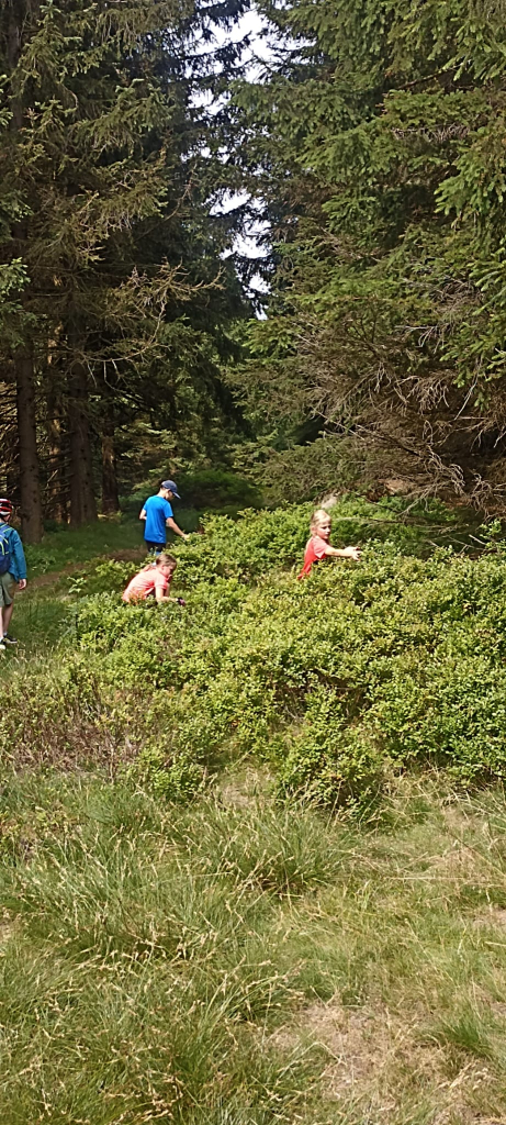 IMG-20260716-WA0286.jpg