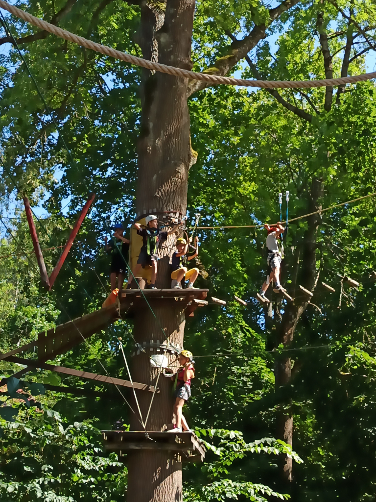 IMG_20260810_112452.jpg