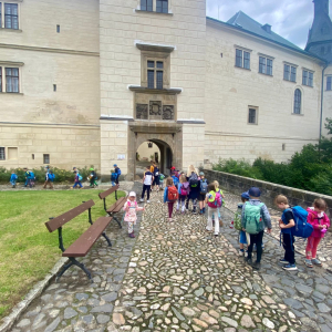 Obrázek WhatsApp, 2025-07-19 v 14.34.50_c0c86653.jpg
