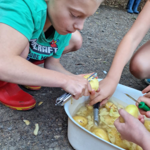 IMG-20250902-WA0141.jpg