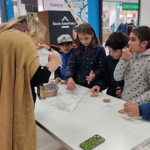 Svatomartinské slavnosti