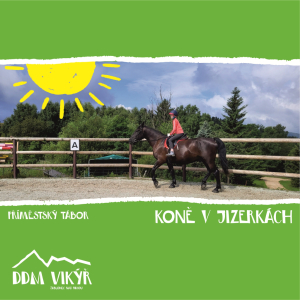 Koně v Jizerkách I.