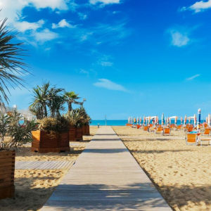 Jednodenní BIBIONE