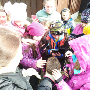 IMG_20230220_140220.jpg
