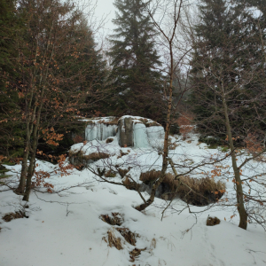 IMG_20211228_135618.jpg