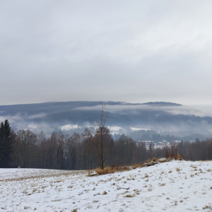 IMG_20211229_130646.jpg