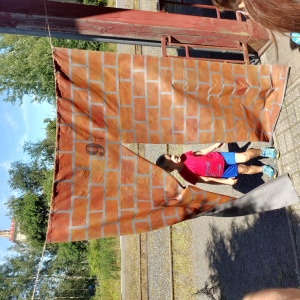 IMG_20230812_132750_hdr.jpg