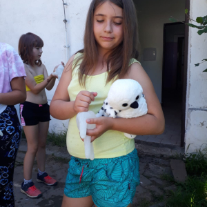 IMG-20230814-WA0005.jpg