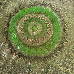 369579895_10160724364842863_7673303761076011955_n.jpg