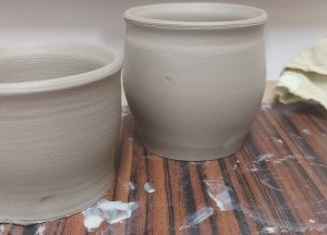 1000029728.jpg